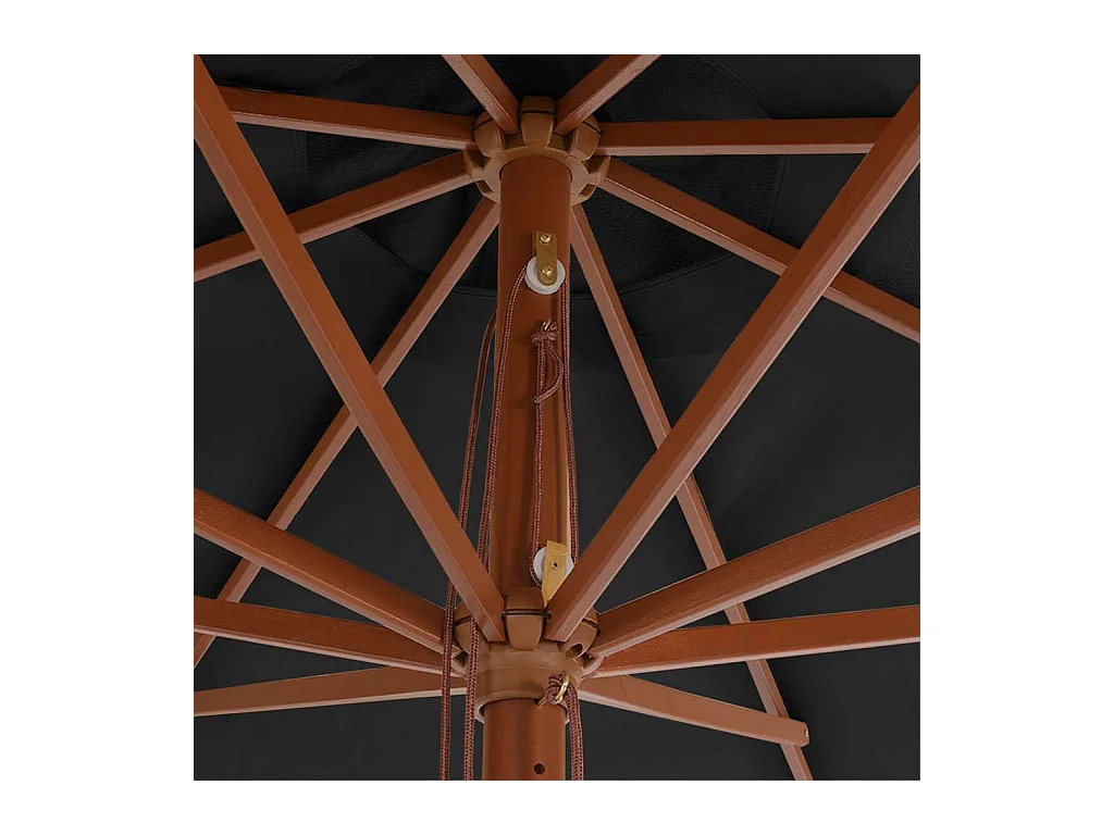 Hollywood  Parasol d'extérieur avec mât en bois 350 cm Anthracite