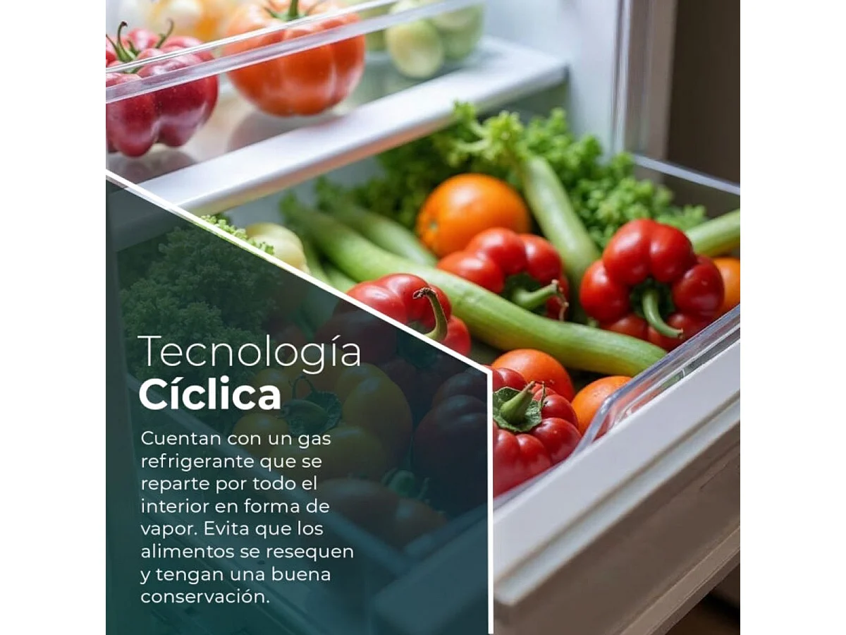 Frigorífico 2 puertas Svan SF165501E cíclico 243L E blanco 161 cm