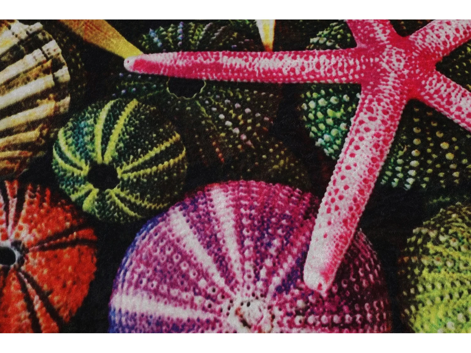 Alfombra de baño Estrella 100 multicolor