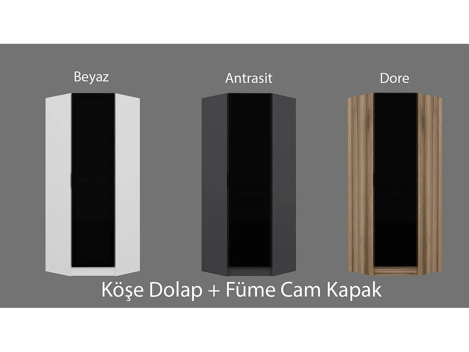 Armario Kale Glass 1-210 color roble 74x210x52 cm