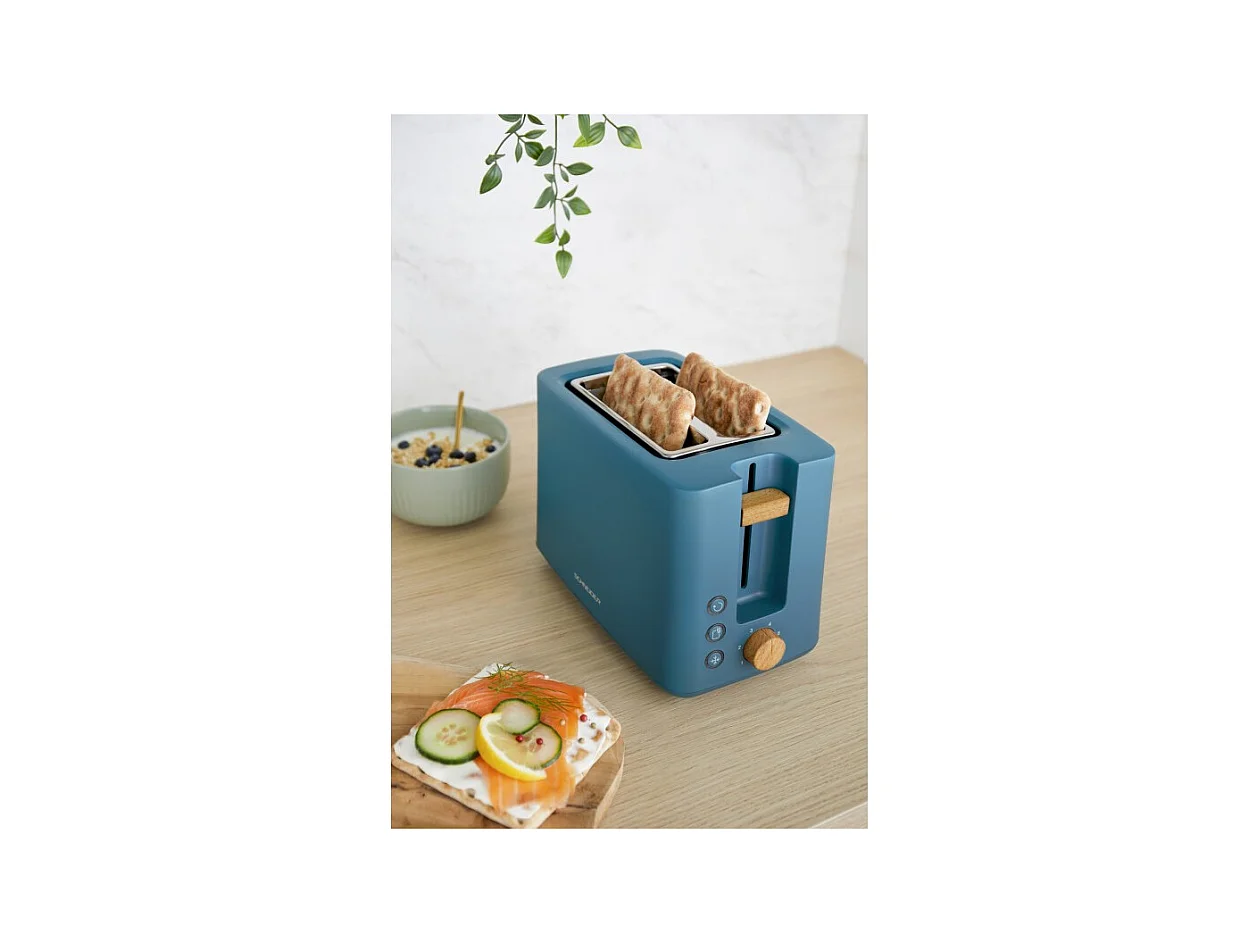 Grille Pain 2 Fentes 870w Scton2bl Schneider