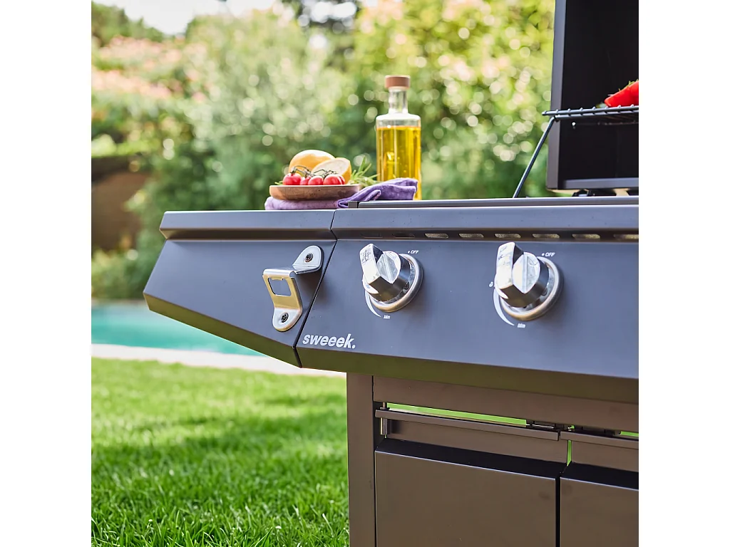 Barbacoa de gas de 3 quemadores con 1 quemador lateral negro
