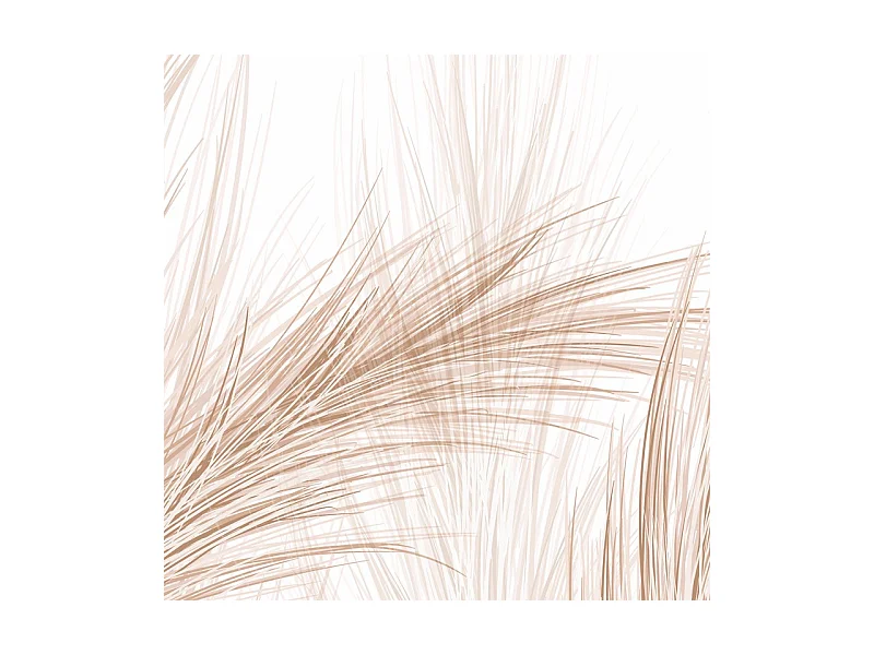 Papier peint panoramique - Pampa - Marron - intissé : 150g/m² - 5 lés : 240x270cm