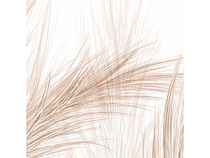 Papier peint panoramique - Pampa - Marron - intissé : 150g/m² - 5 lés : 240x270cm