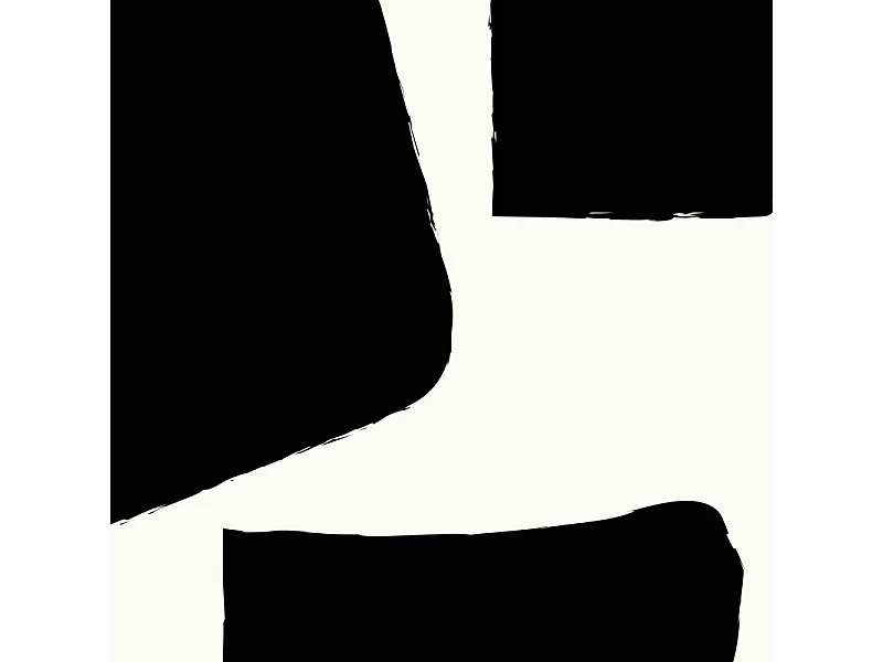 Papier peint panoramique - Elémentaire - Noir - intissé : 150g/m² - 5 lés : 240x270cm