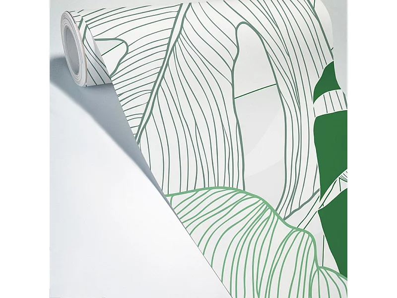 Papier peint panoramique - Bornéo - Multicolore - intissé : 150g/m² - 7 lés : 336x270cm