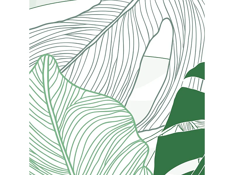 Papier peint panoramique - Bornéo - Multicolore - intissé : 150g/m² - 7 lés : 336x270cm