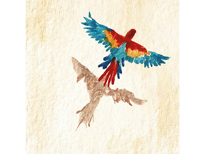 Papier peint panoramique - Vue du ciel - Multicolore - intissé : 150g/m² - 7 lés : 336x270cm