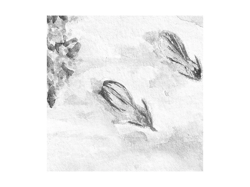 Papier peint panoramique - Rivière - Noir et Blanc - intissé : 150g/m² - 7 lés : 336x270cm