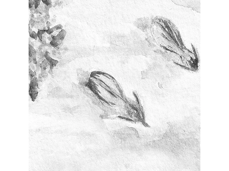 Papier peint panoramique - Rivière - Noir et Blanc - intissé : 150g/m² - 7 lés : 336x270cm