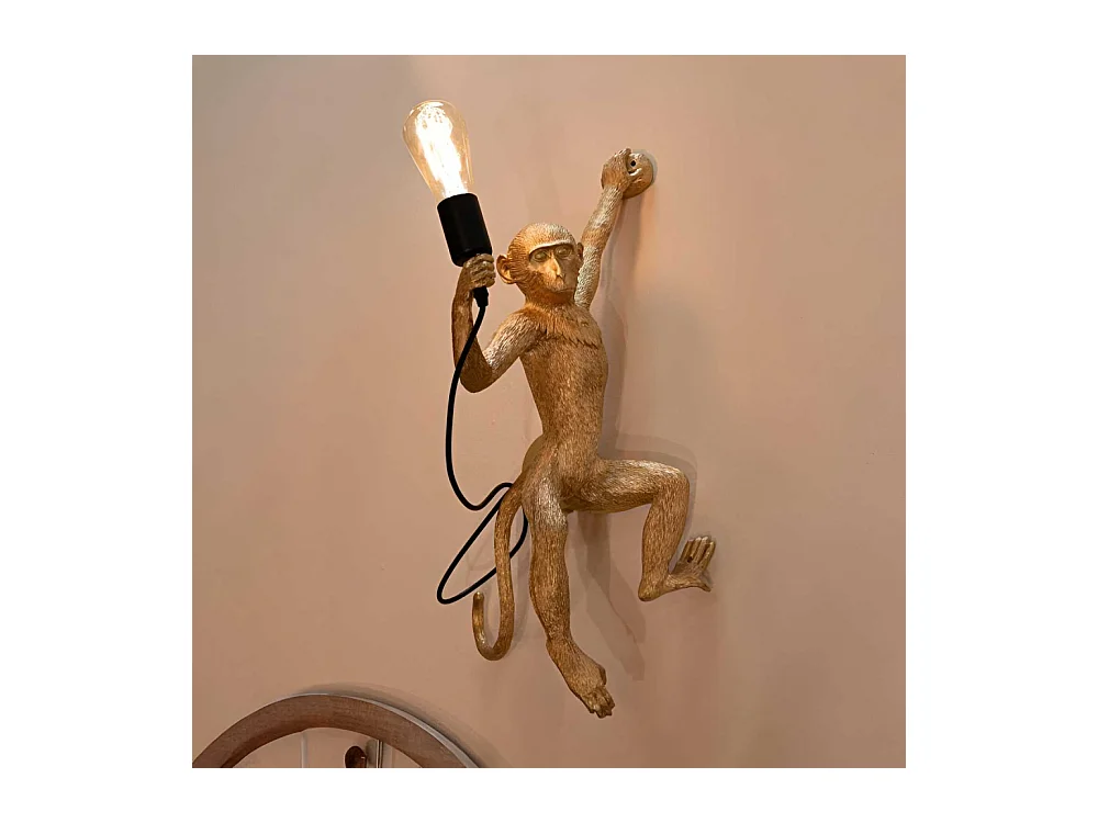 Applique murale en polyrésine Monkey 32 x 32 x 64 cm