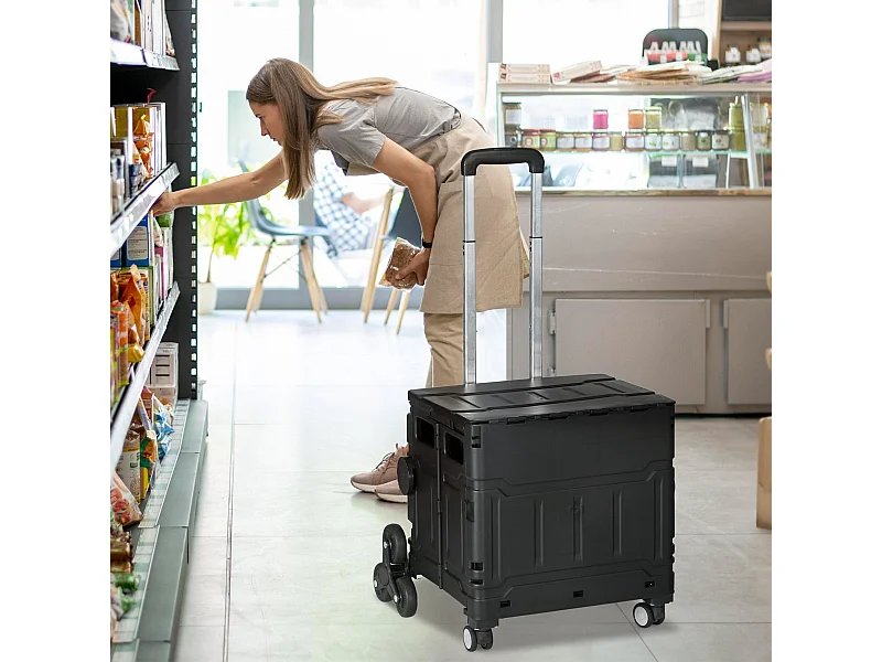 Carrinho de Compras Dobrável com Rodas para Escadas - Modelo Nancy, 35L, 48x43x95 cm, Preto