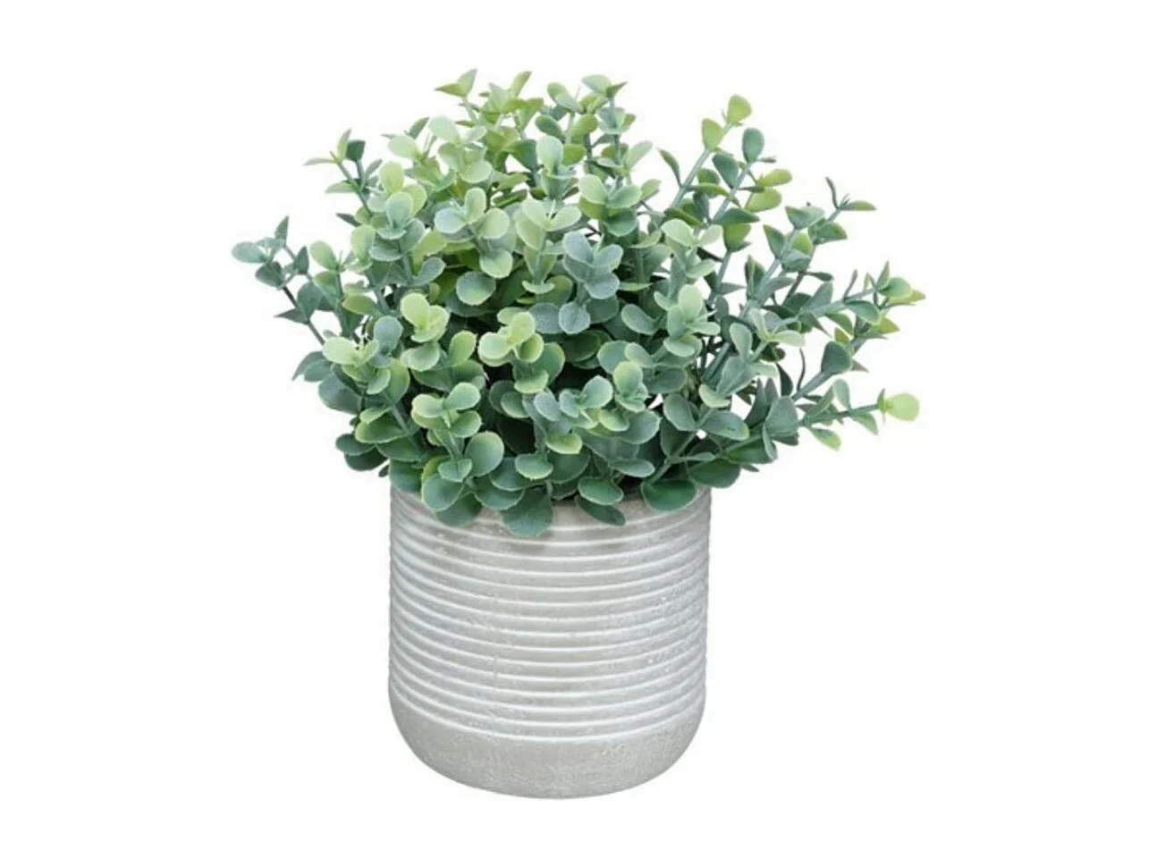 Maceta decorativa Eucalipto verde claro Ø16x18 cm