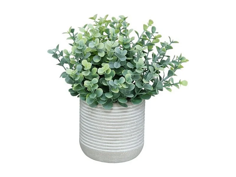 Maceta decorativa Eucalipto verde claro Ø16x18 cm