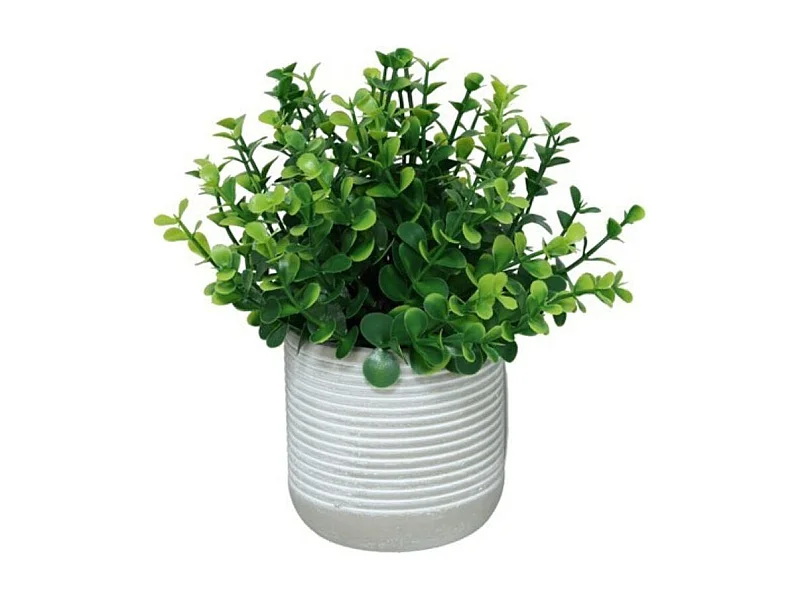 Maceta decorativa Eucalipto verde Ø16x18 cm