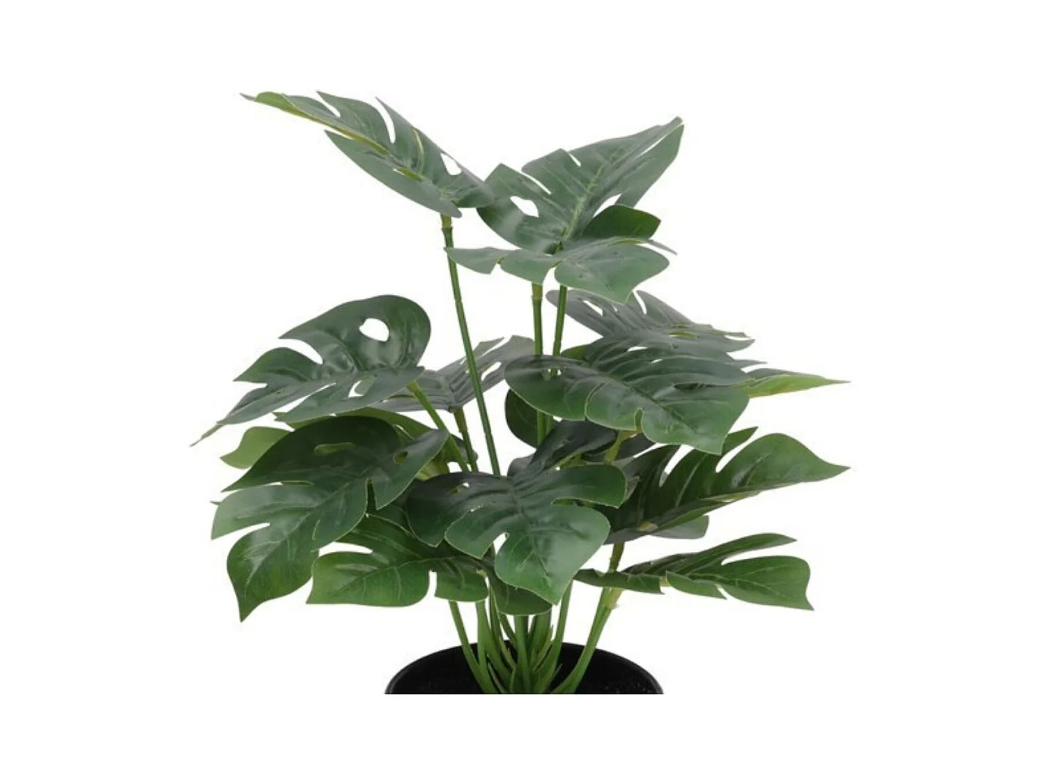 Maceta decorativa Monstera verde Ø27x35 cm