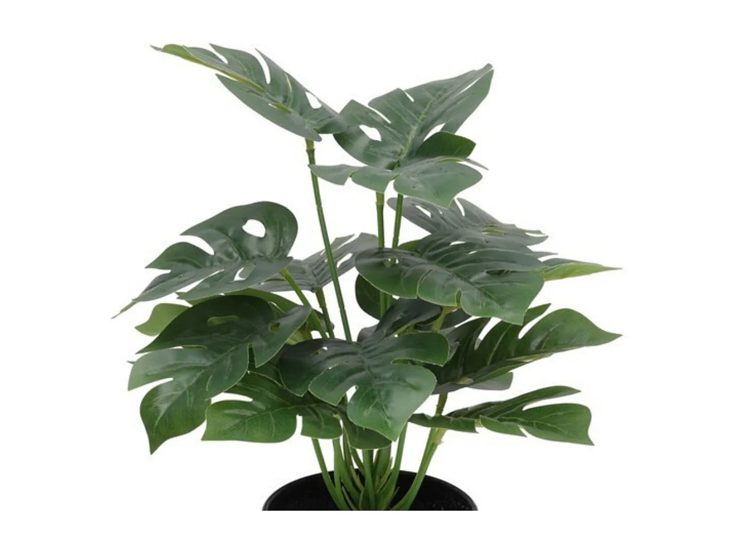 Maceta decorativa Monstera verde Ø27x35 cm