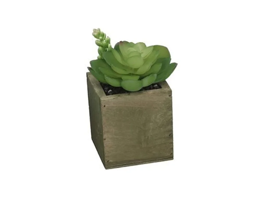 Maceta decorativa diseño B verde 13x9,5 cm
