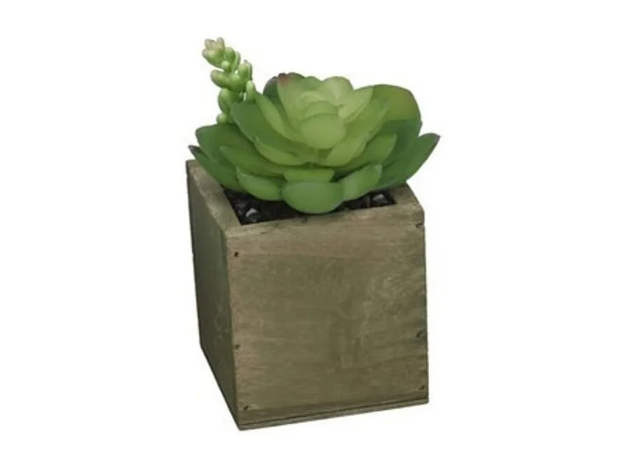 Maceta decorativa diseño B verde 13x9,5 cm