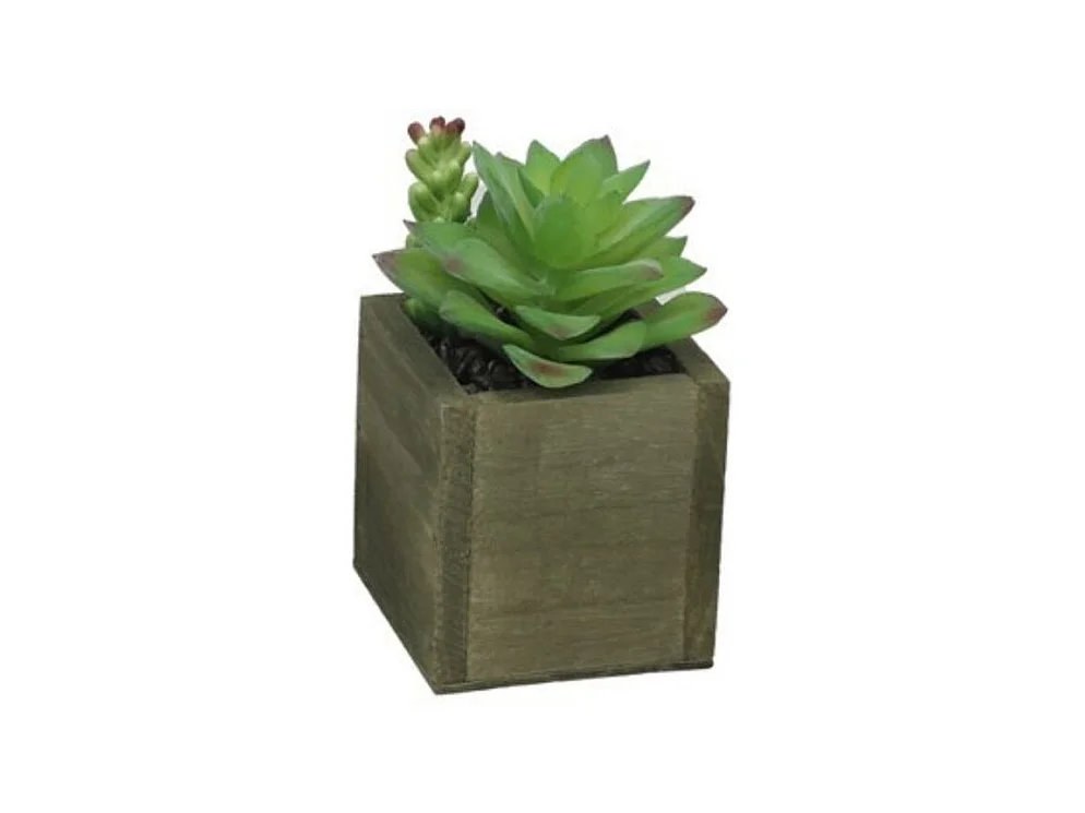 Maceta decorativa diseño D verde 13x9,5 cm
