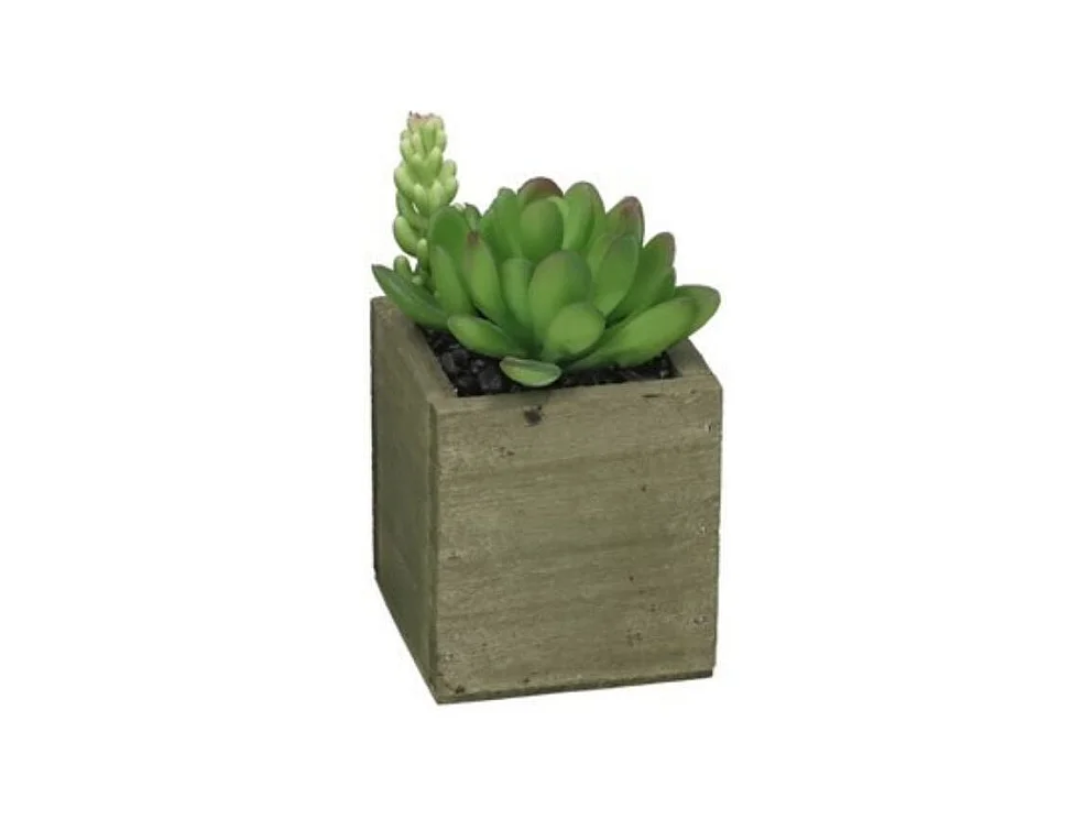 Maceta decorativa diseño C verde 13x9,5 cm