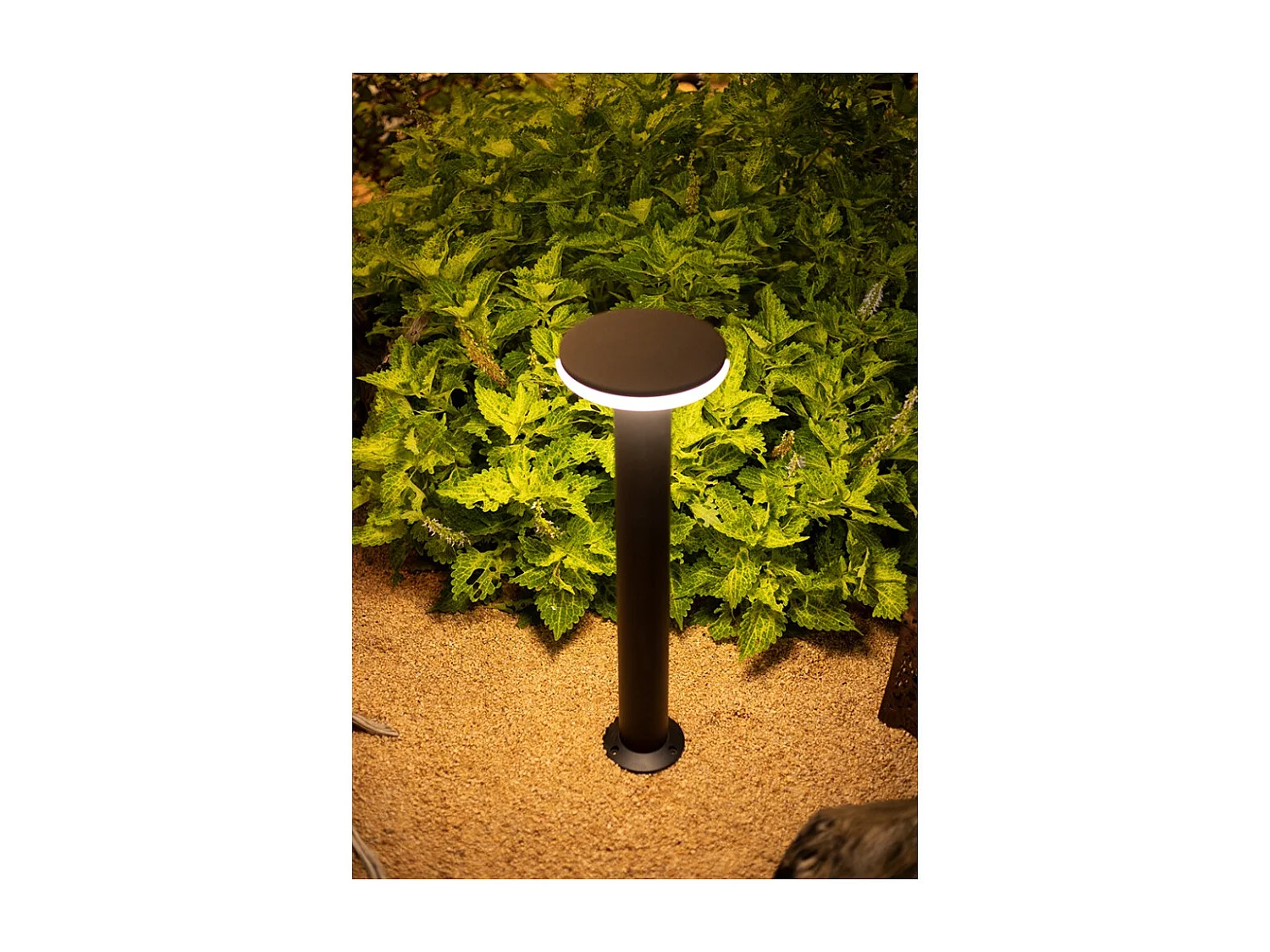 Mac Floor Corten 3000K - 12W IP65 aluminium buiten LED paalverlichting h30cm - Downlight - Beneito & Faure