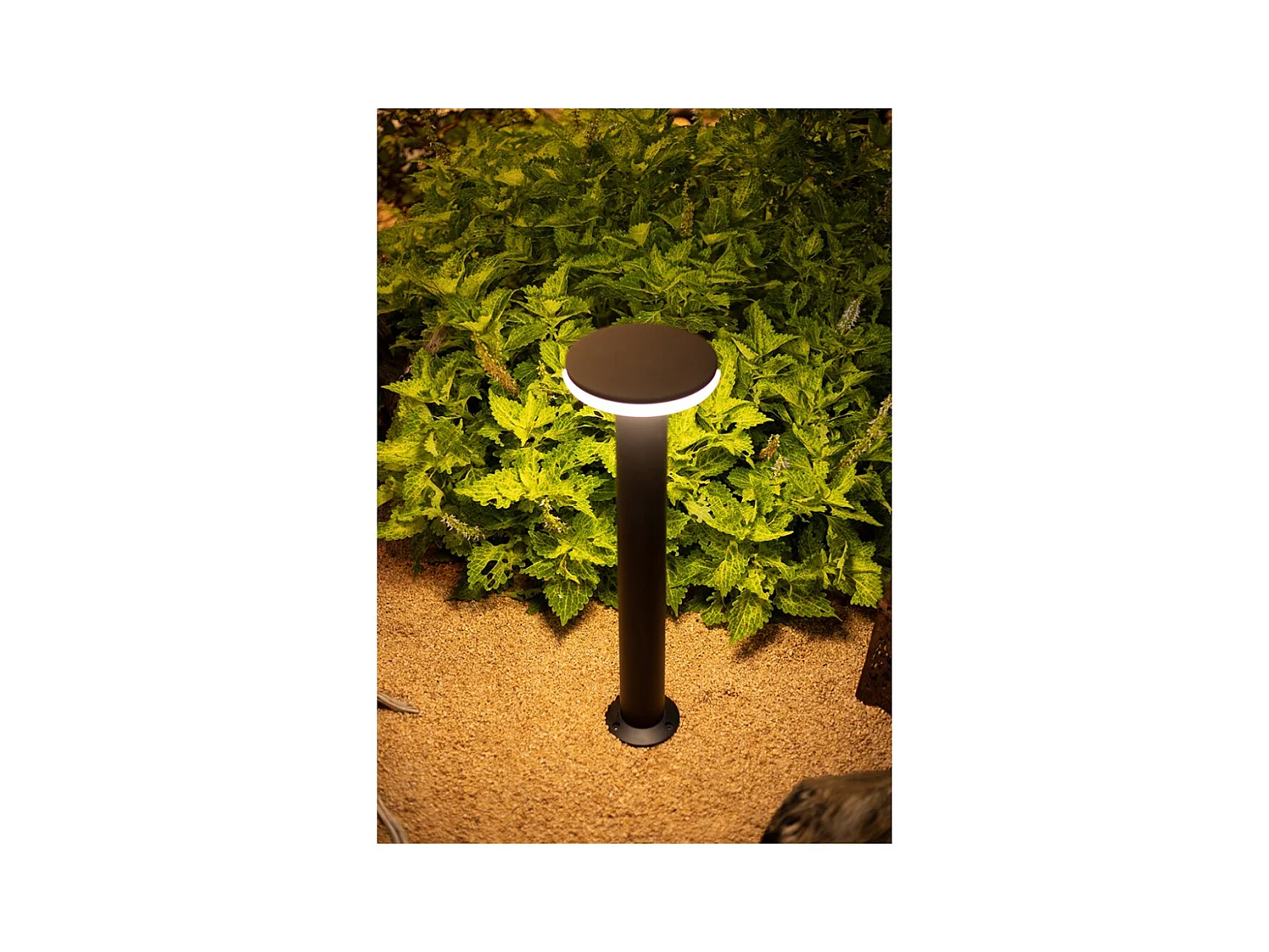 Borne d'éclairage LED d'extérieur Mac Floor Corten 4000K - 12W IP65 30cm de hauteur en aluminium - Downlight - Beneito & Faure