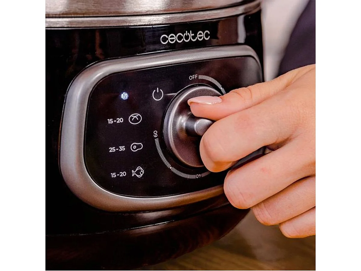 Vaporera Cecotec Vapovita SteelPot 1300W 10L acero inoxidable