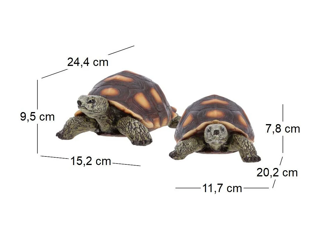 Statuette décorative en polyrésine Tortue Taille M