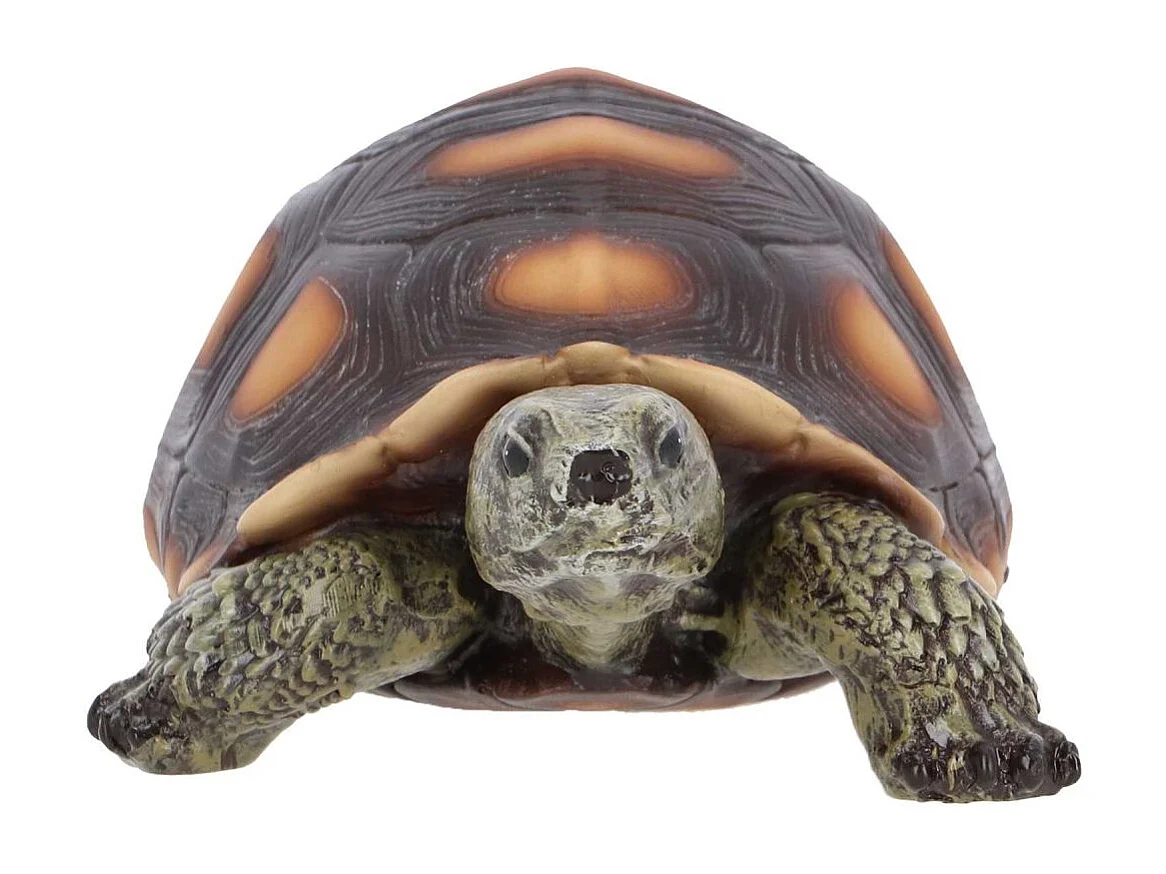 Statuette décorative en polyrésine Tortue Taille M