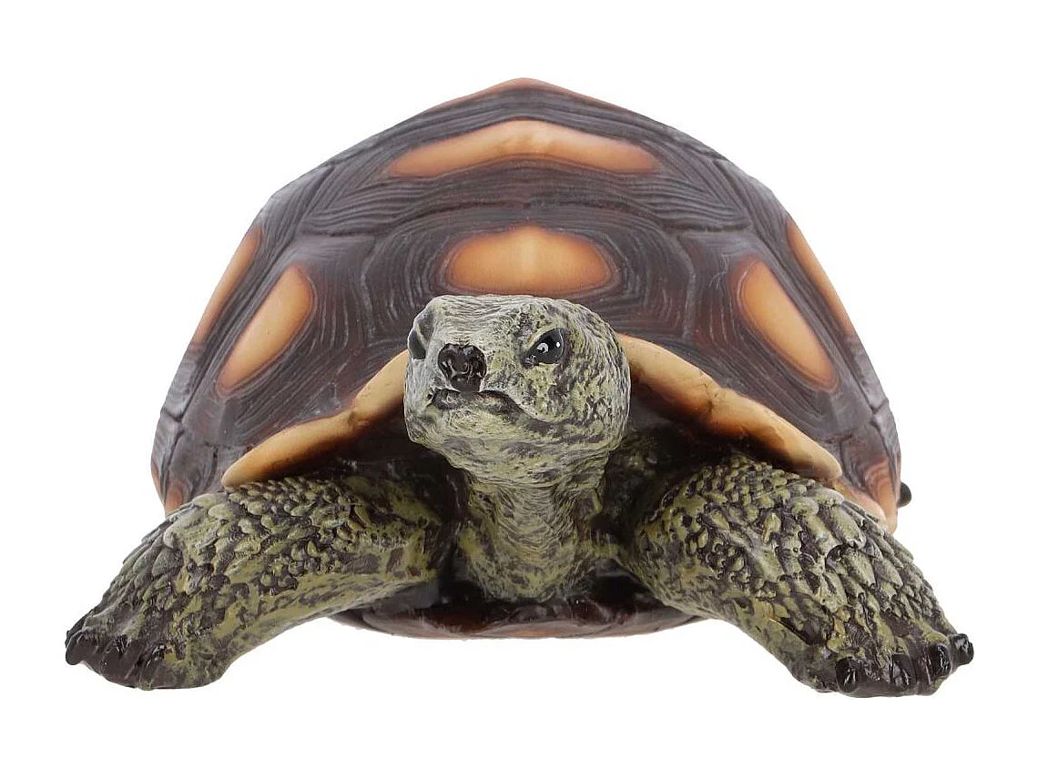 Statuette décorative en polyrésine Tortue Taille L