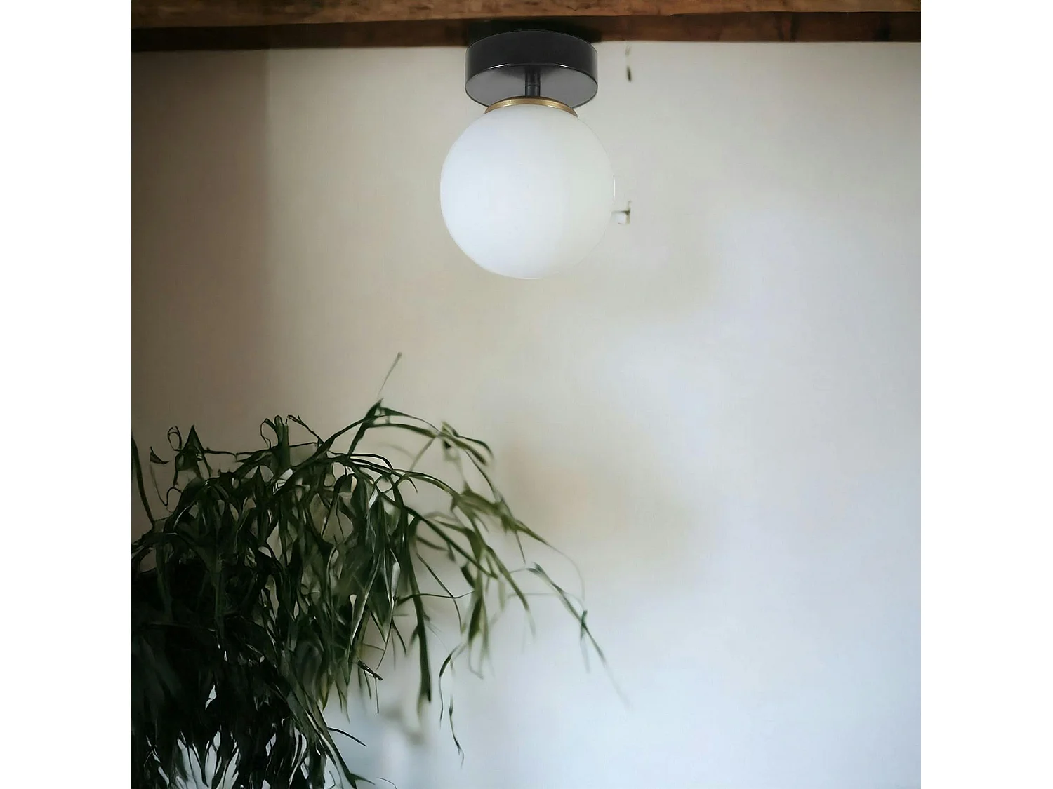 Plafonnier globe verre dépoli, finition noire SIERRE