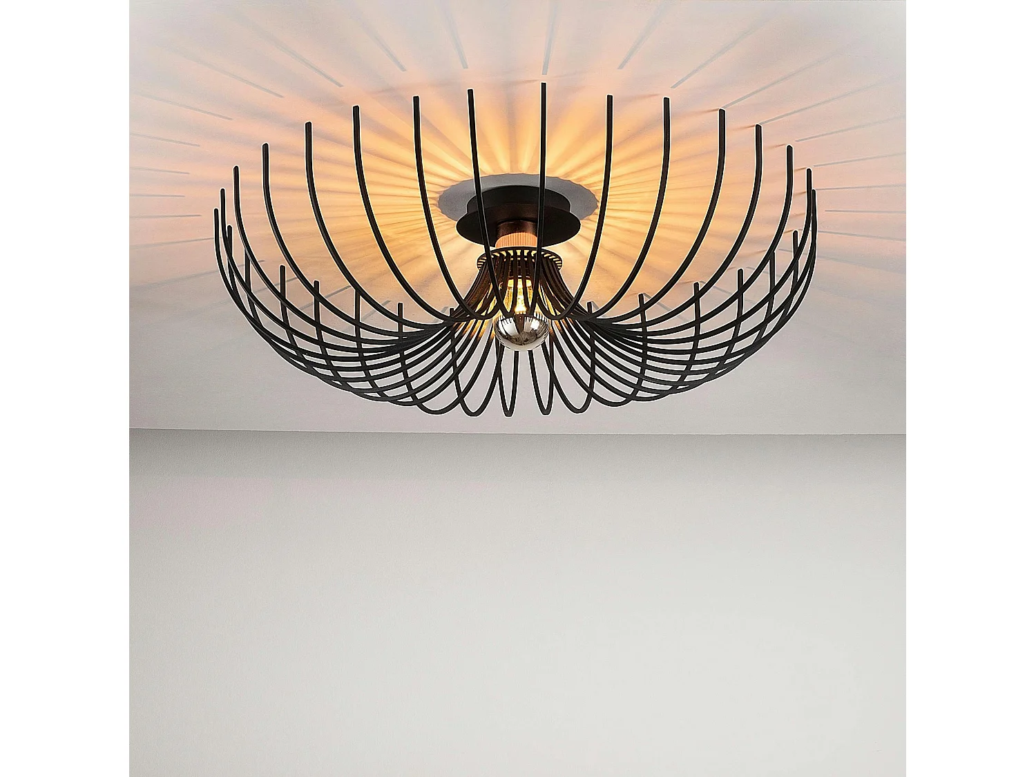 Plafonnier design métal noir filaire forme corolle ERZIN