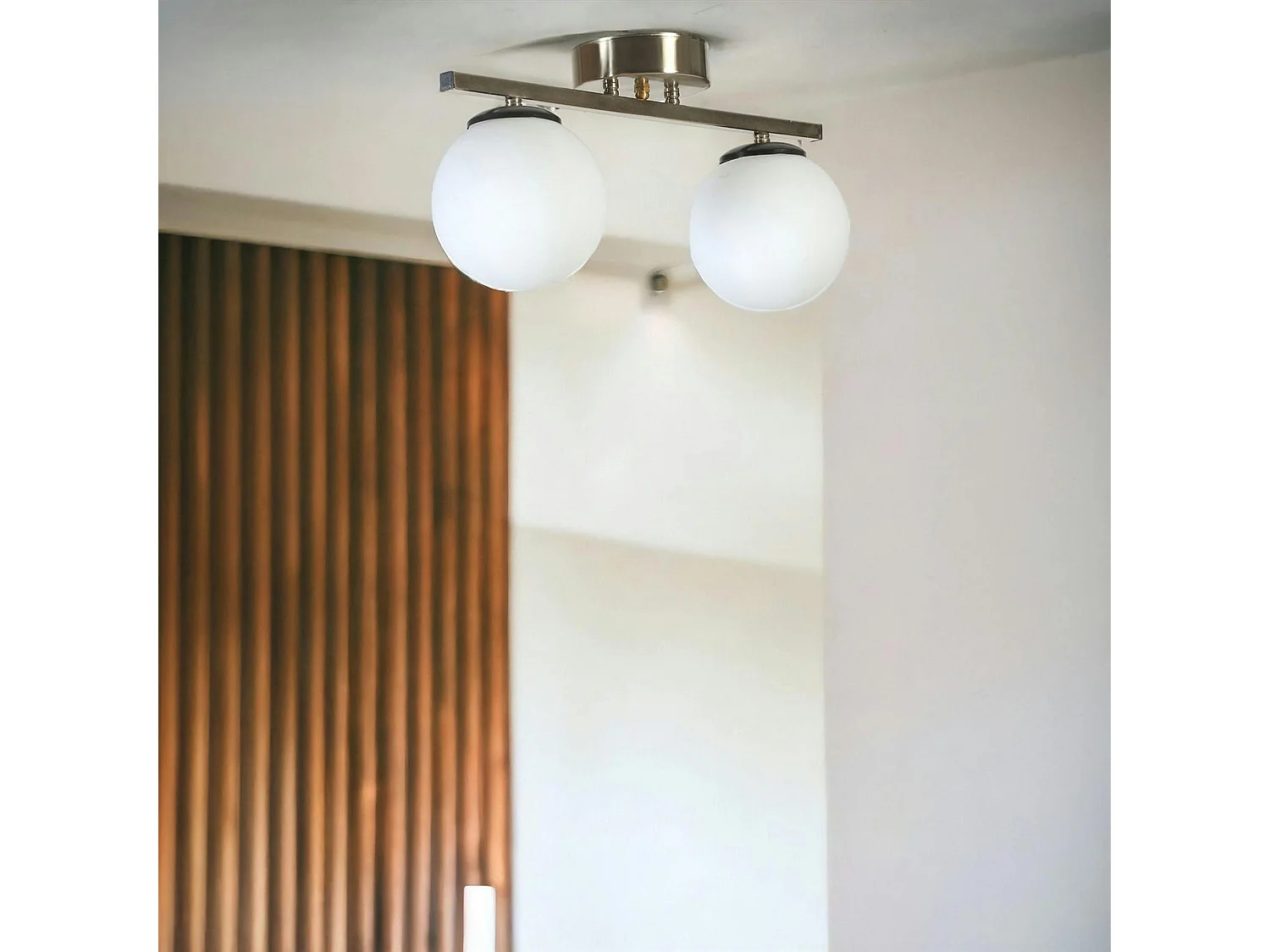 Plafonnier moderne en métal 2 globes verre dépoli SIERRE