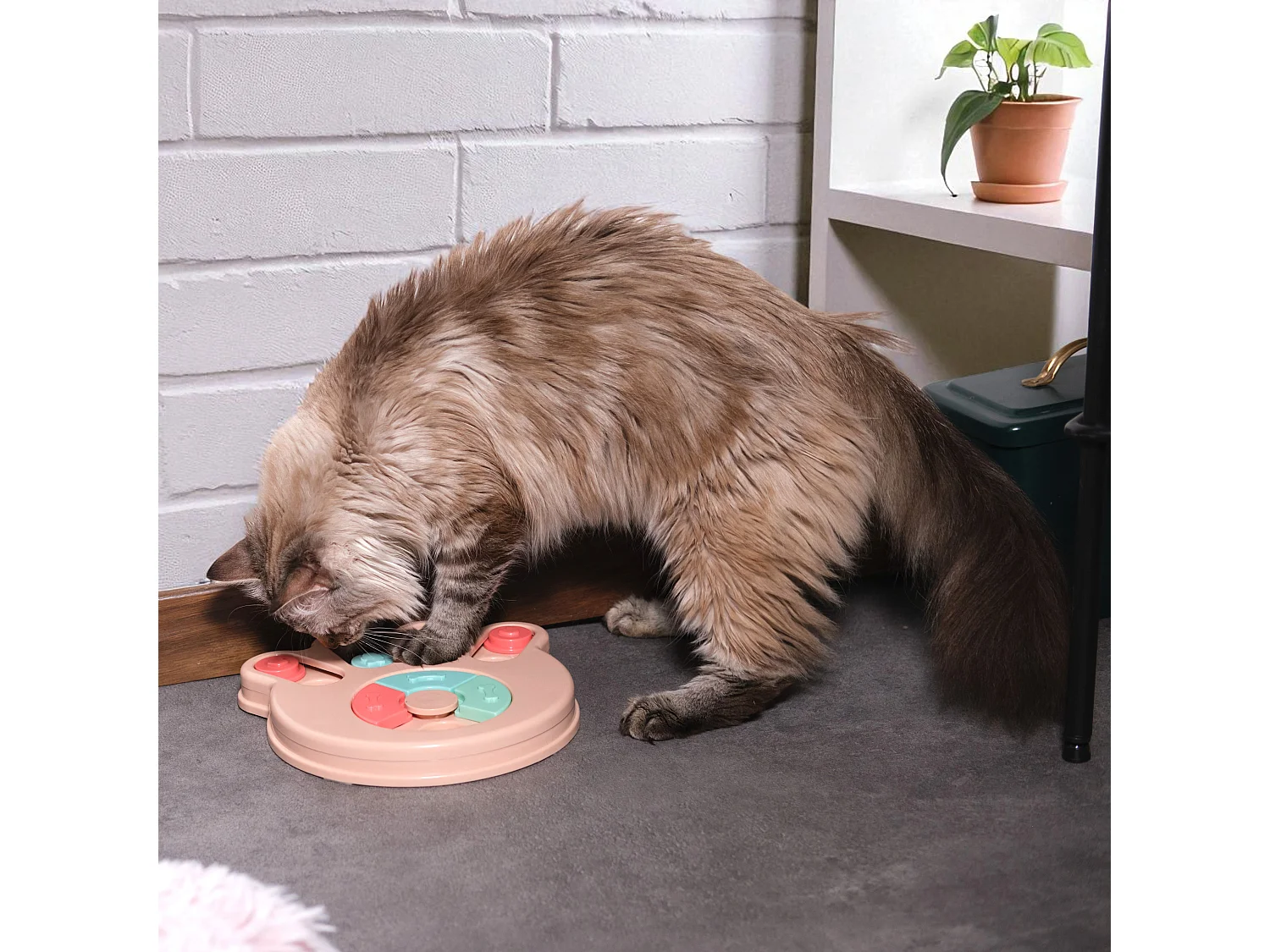 Jeu De Fouille Pour Animaux Rose, Bleu