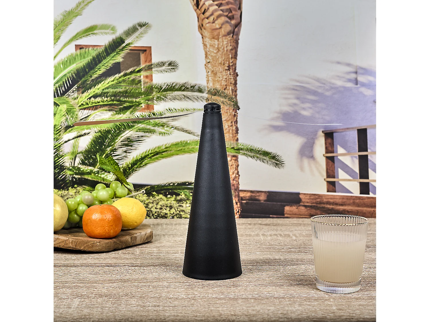 Ventilateur Anti Mouche Noir