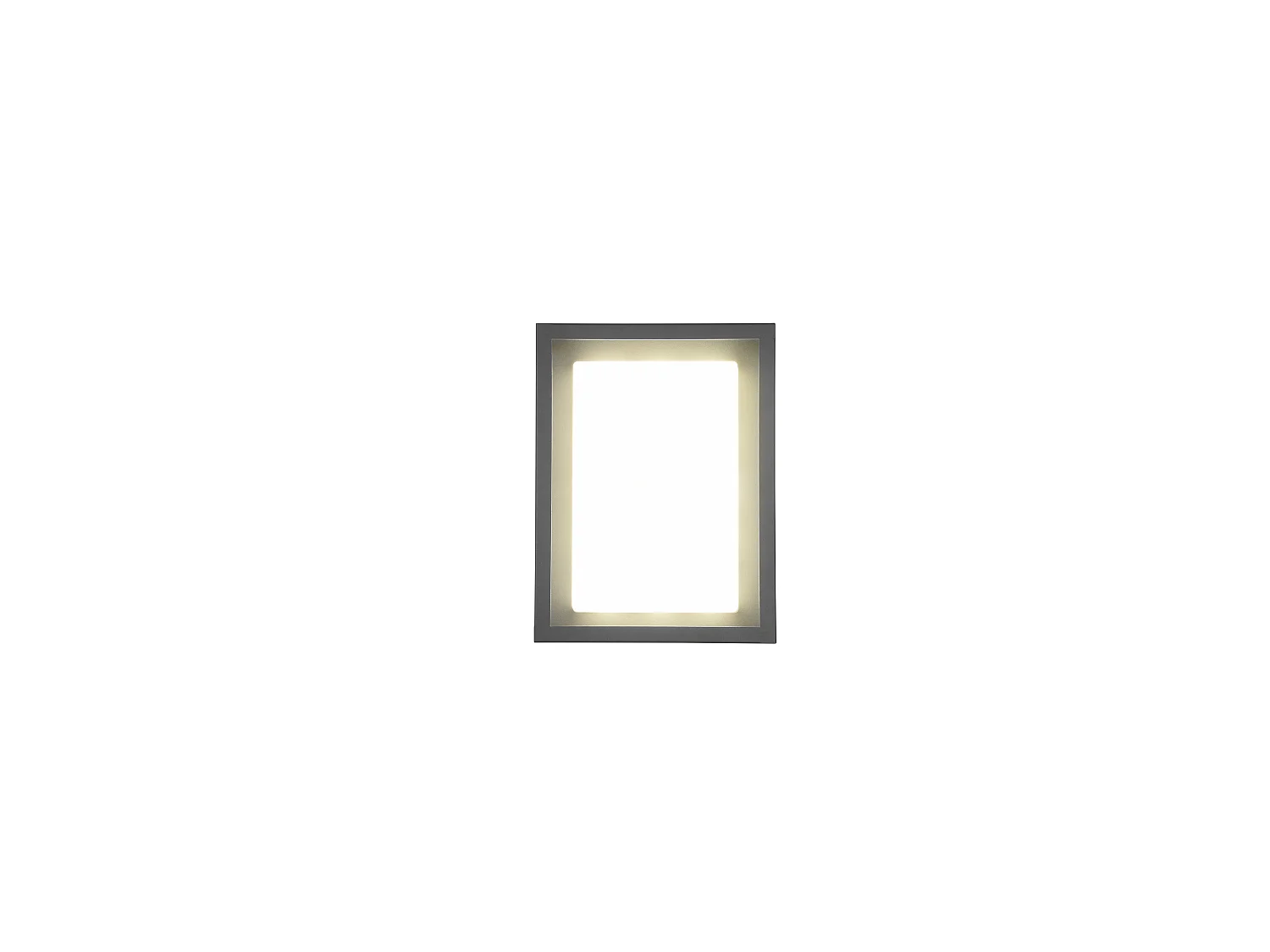 Wandlamp WITHAM - 0x0x24 cm - Antraciet