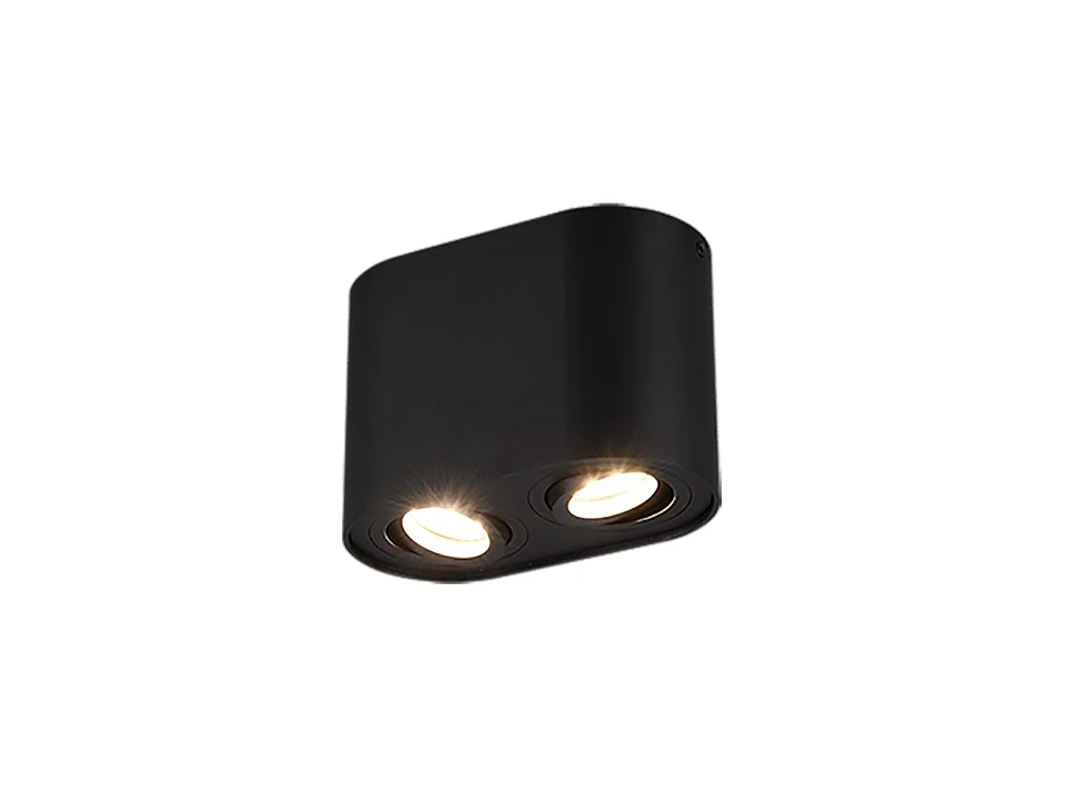 Plafoniera 2 luci, metallo, nero opaco, 17,8x12,5x9,6 cm, Cookie