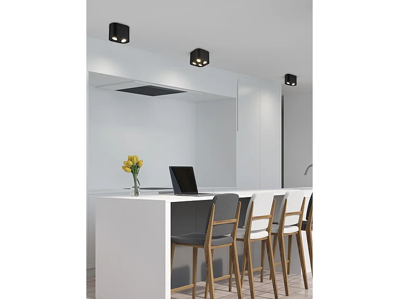 Plafoniera 2 luci, metallo, nero opaco, 17,8x12,5x9,6 cm, Cookie