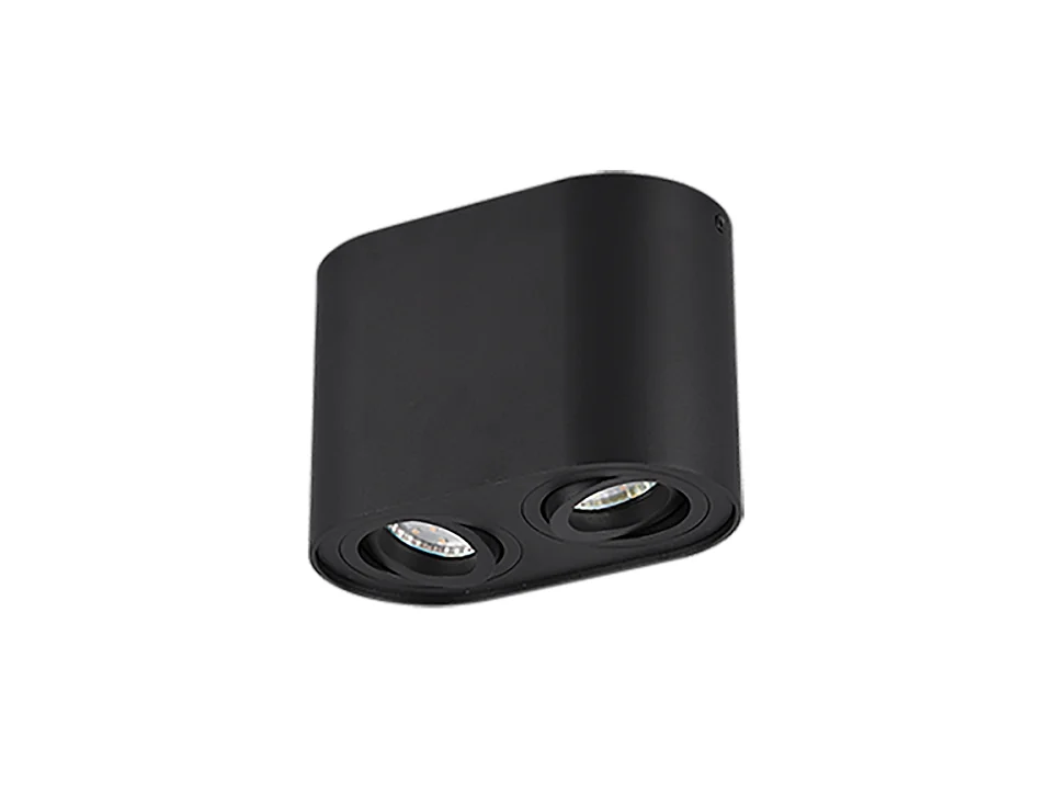 Plafoniera 2 luci, metallo, nero opaco, 17,8x12,5x9,6 cm, Cookie