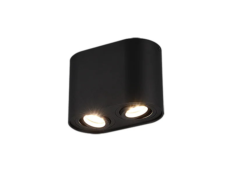 Plafoniera 2 luci, metallo, nero opaco, 17,8x12,5x9,6 cm, Cookie