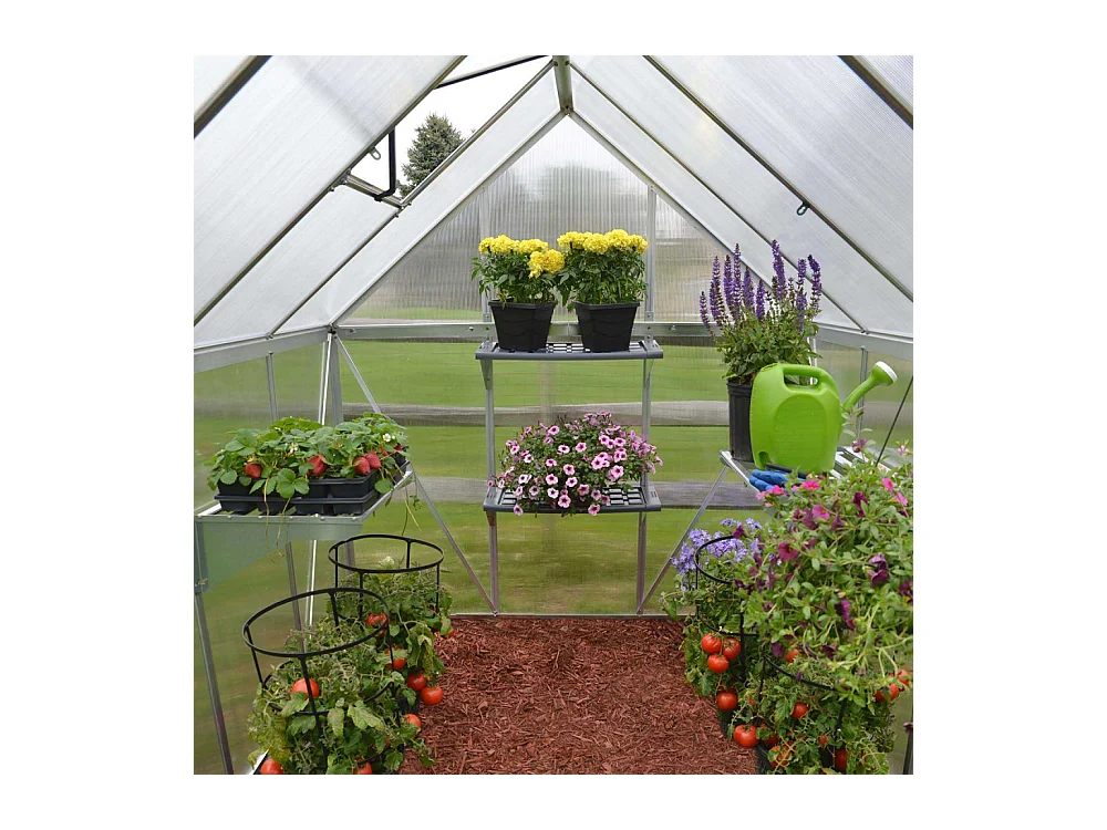 Serre de jardin en aluminium argent et polycarbonate Mythos 4.6m²