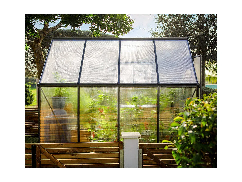 Serre de jardin Mythos 6x8 - Gris - Palram by Canopia