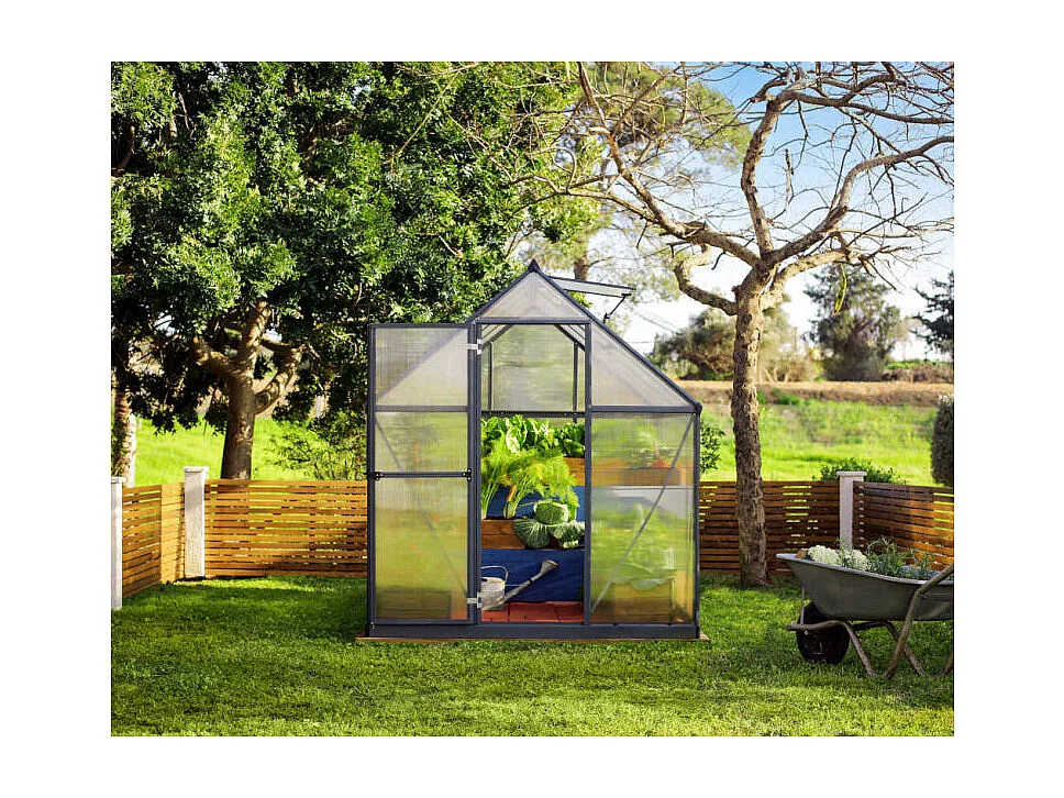 Serre de jardin Mythos 6x8 - Gris - Palram by Canopia