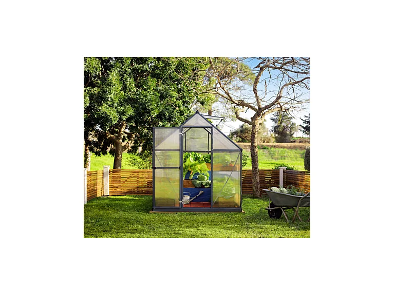 Serre de jardin Mythos 6x8 - Gris - Palram by Canopia