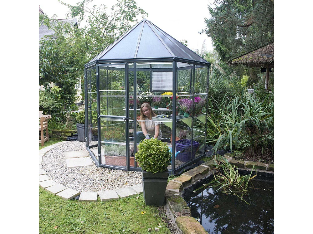 Serre de jardin hexagonale en aluminium et polycarbonate Oasis 4m²