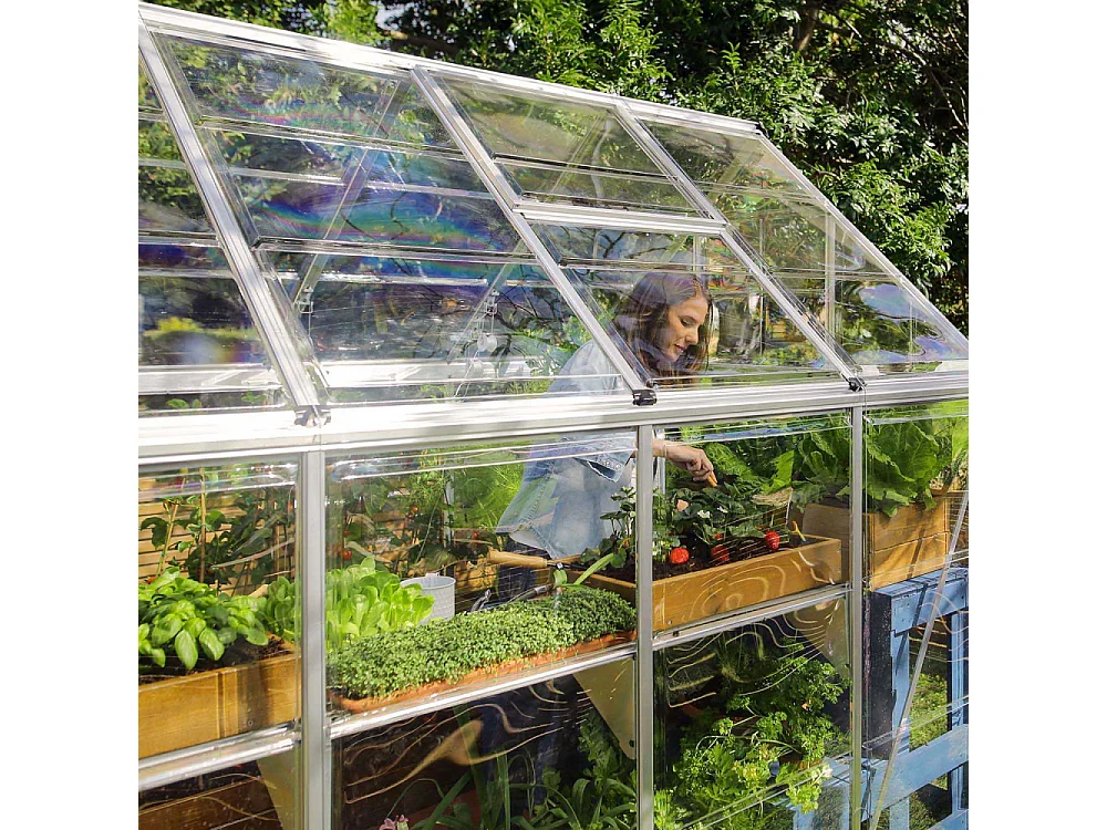 Serre de jardin en aluminium argent et polycarbonate Harmony 5.7m²