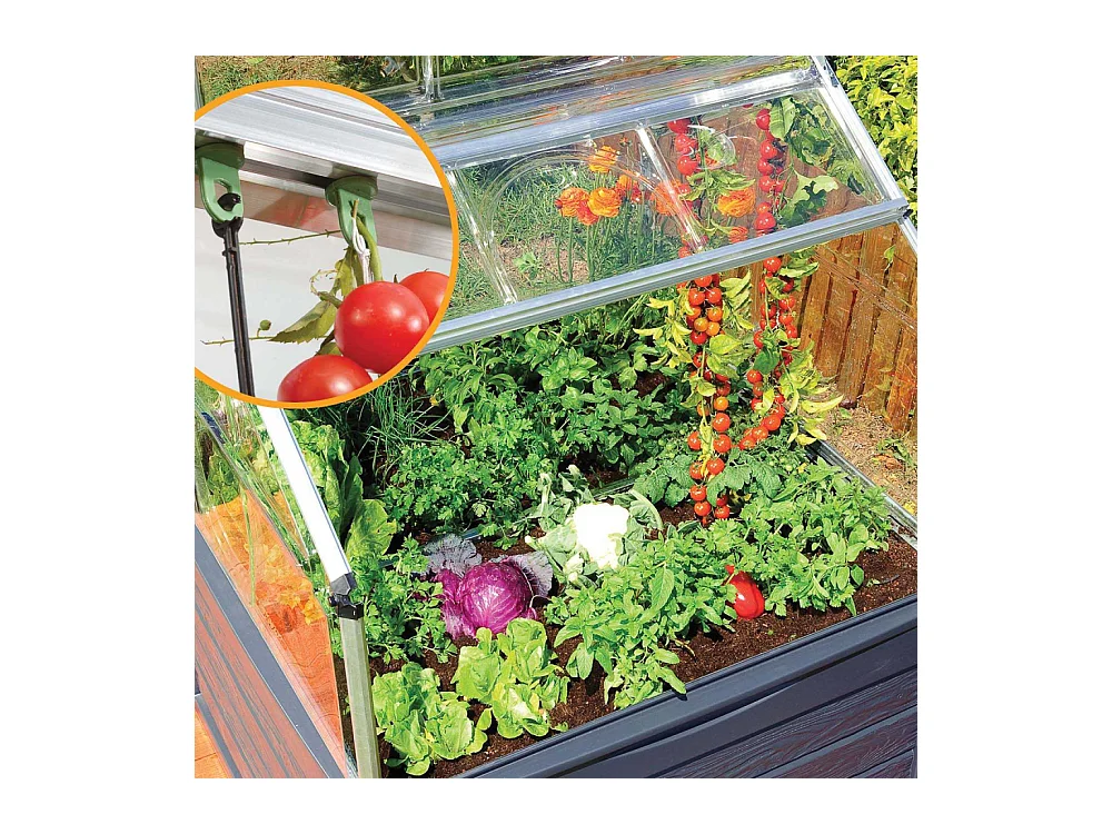 Mini-serre de jardin en aluminium et polycarbonate Plant-Inn