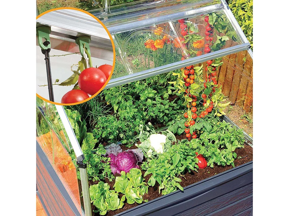 Mini-serre de jardin en aluminium et polycarbonate Plant-Inn