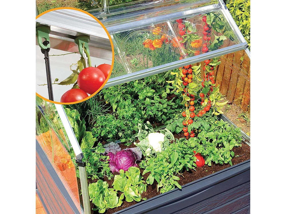 Mini-serre de jardin en aluminium et polycarbonate Plant-Inn